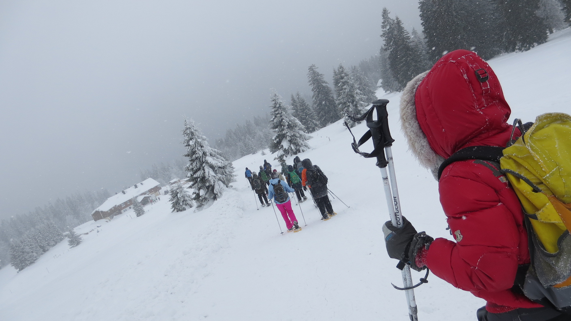 Schneeschuhwanderung