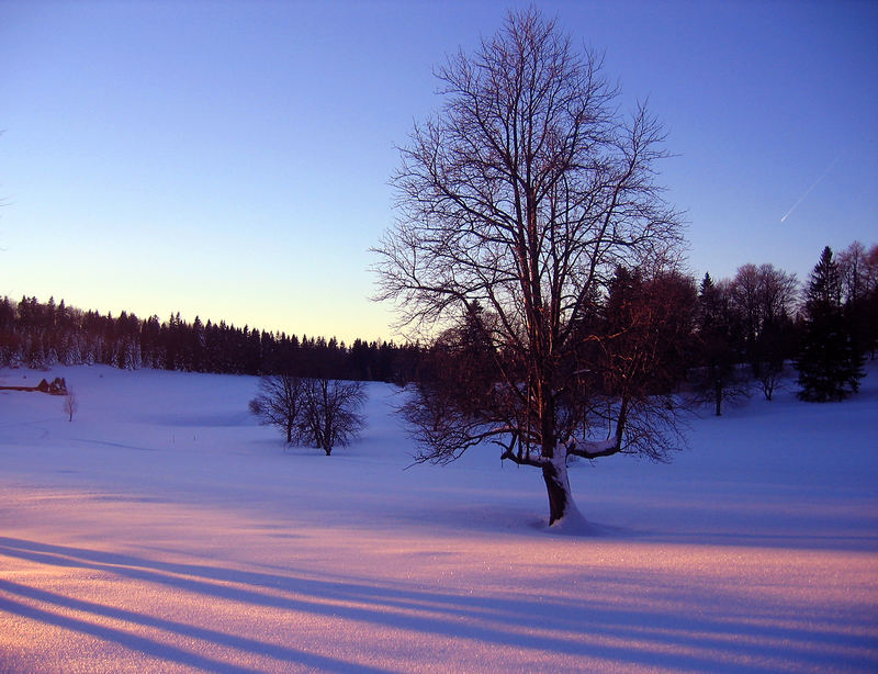 Schneeschuhwanderung