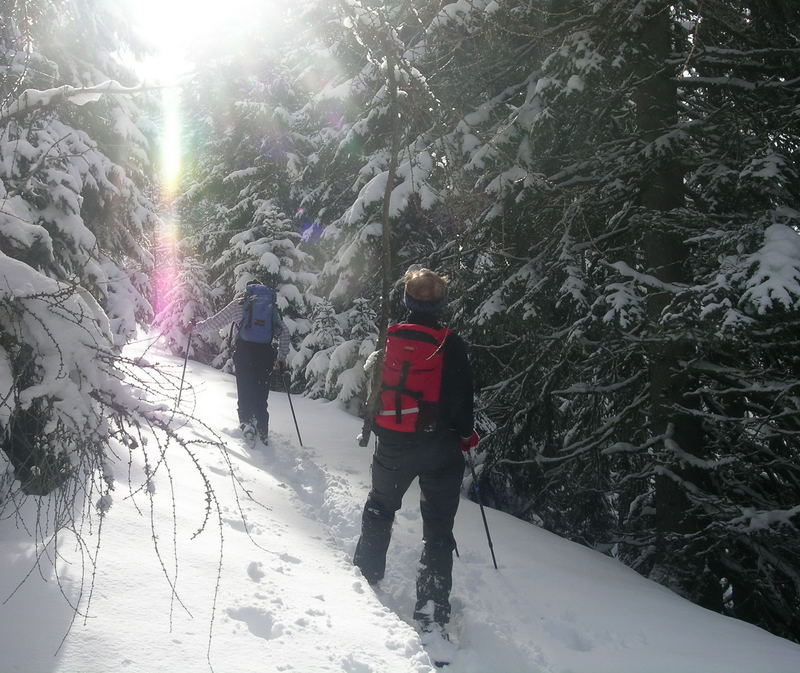 Schneeschuhwanderung