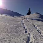 Schneeschuhwanderung