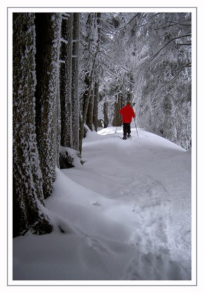 Schneeschuhwanderung