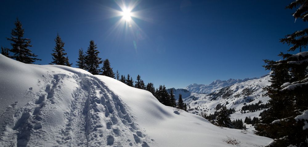 Schneeschuhwanderung