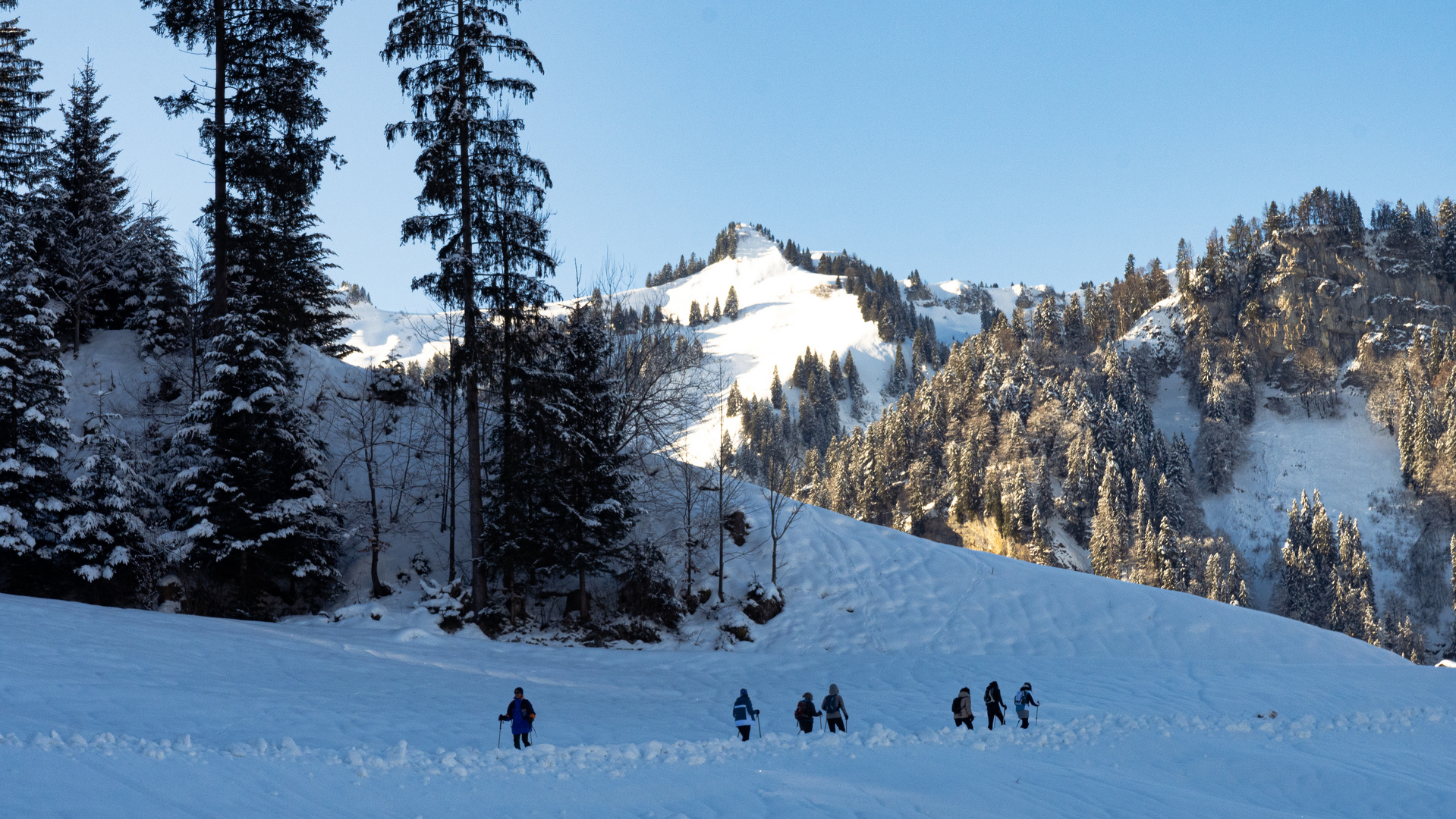 Schneeschuhwanderung