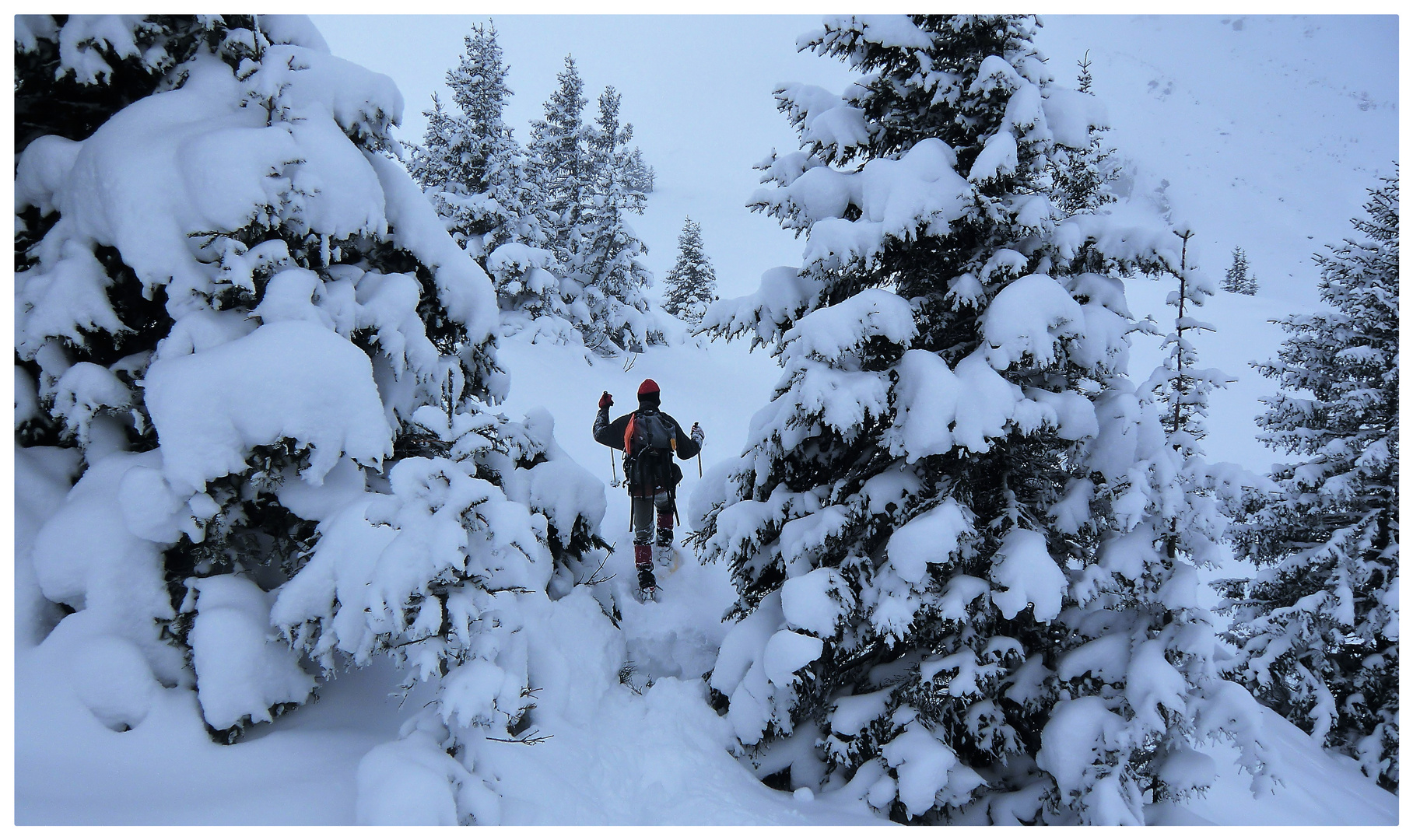 Schneeschuhwanderung