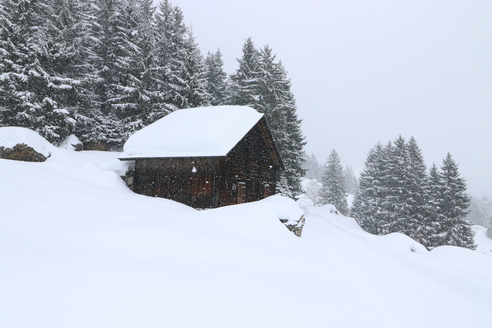 Schneeschuhwanderung auf dem Arni