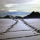 Schneeschuhwanderung auf der Putzenhöhe in Südtirol