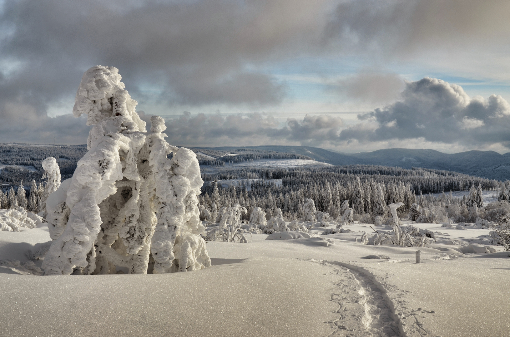 Schneeschuhwanderung