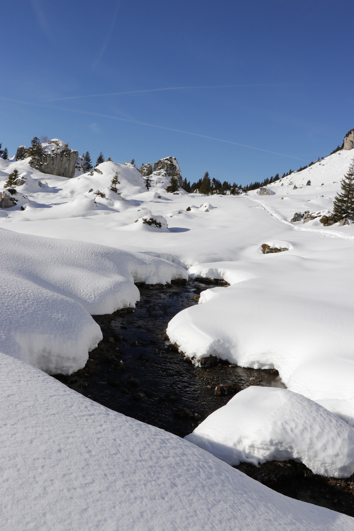 Schneeschuhwanderung bei herrlichen Frühlingstemperaturen