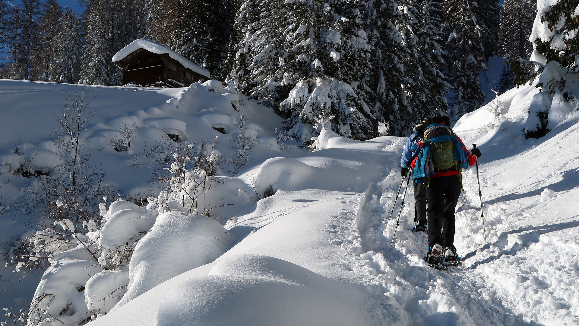 Schneeschuhwanderung