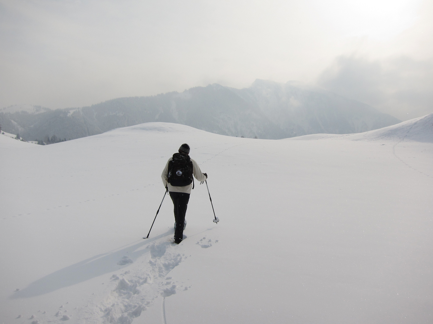 Schneeschuhwanderung