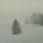 Schneeschuhwanderung raus in die Natur