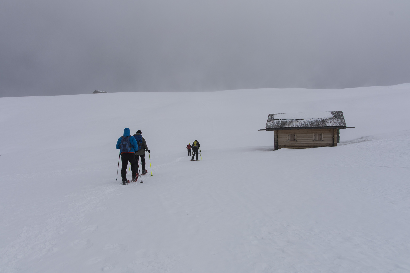 Schneeschuhwanderungen