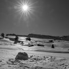 Schneeschuhwanderungen