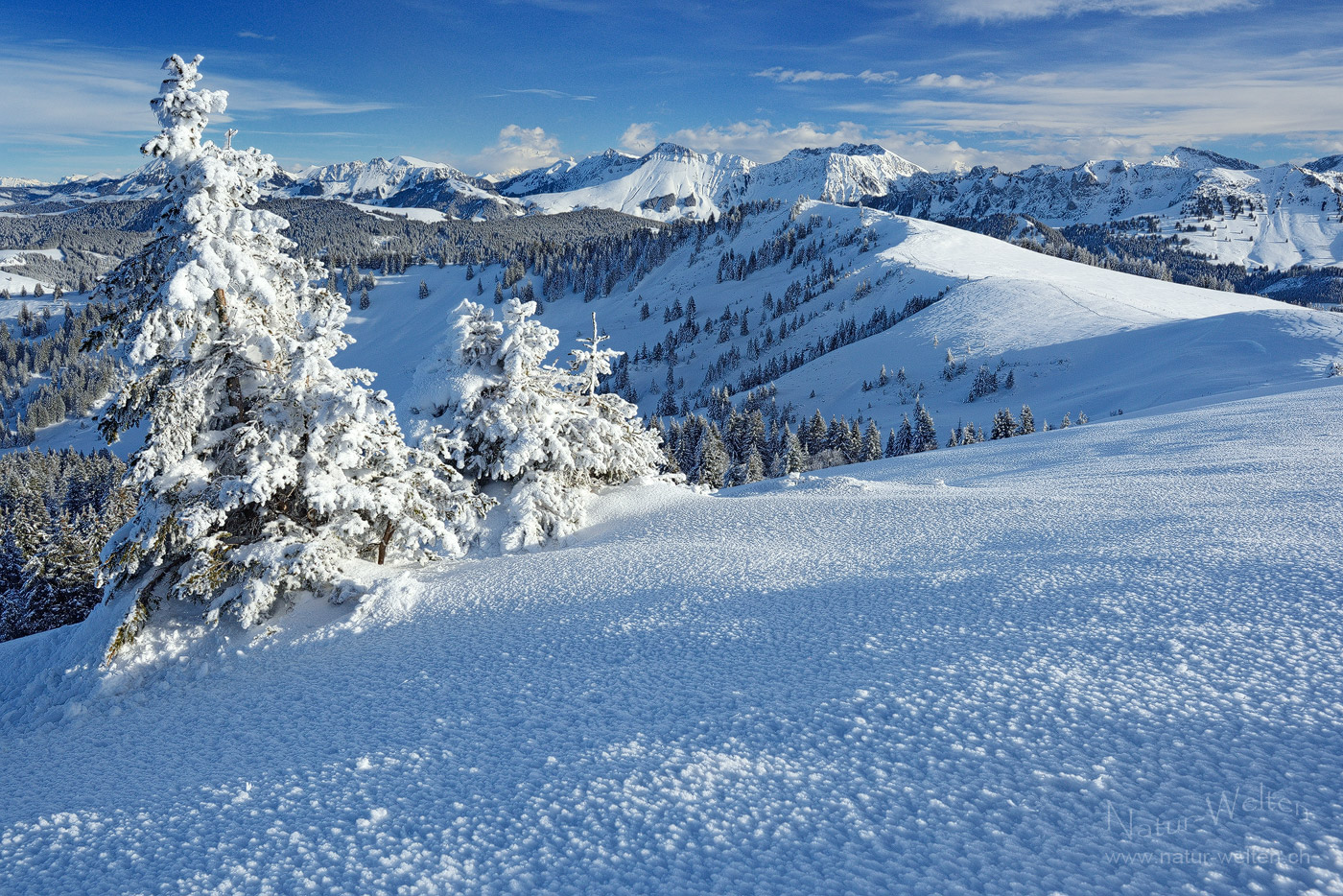 Schneeschuppen