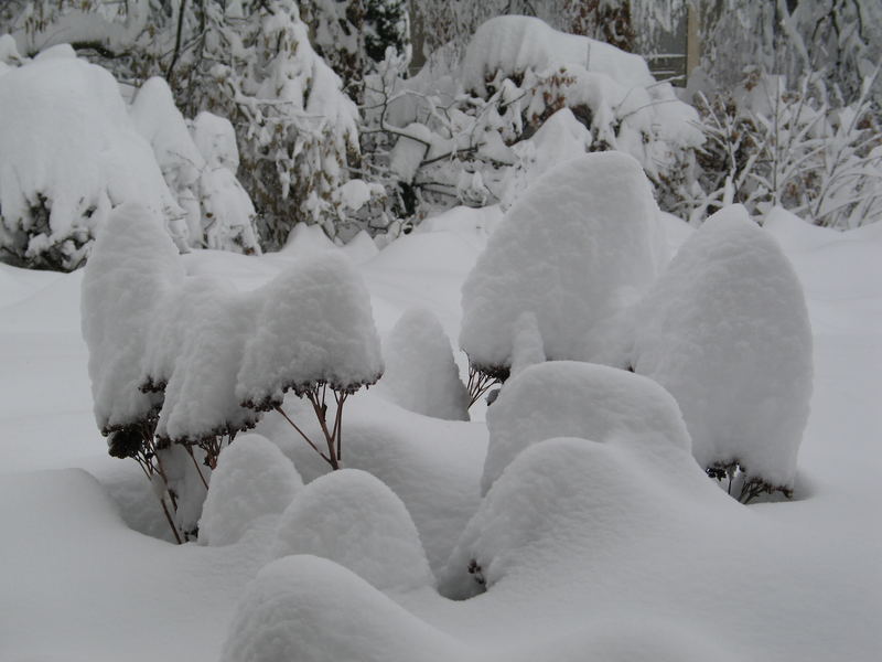 Schneeskulpturen