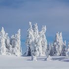 Schneeskulpturen