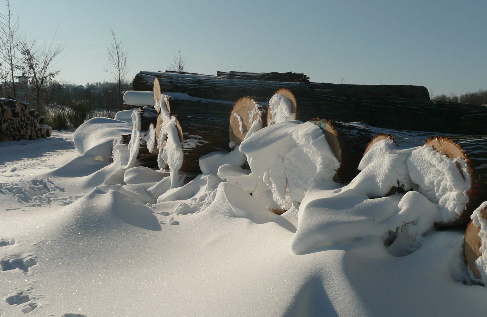 Schneeskulpturen am Wegesrand