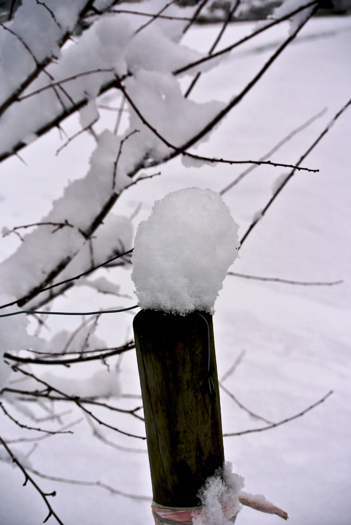 Schneeskulpturen