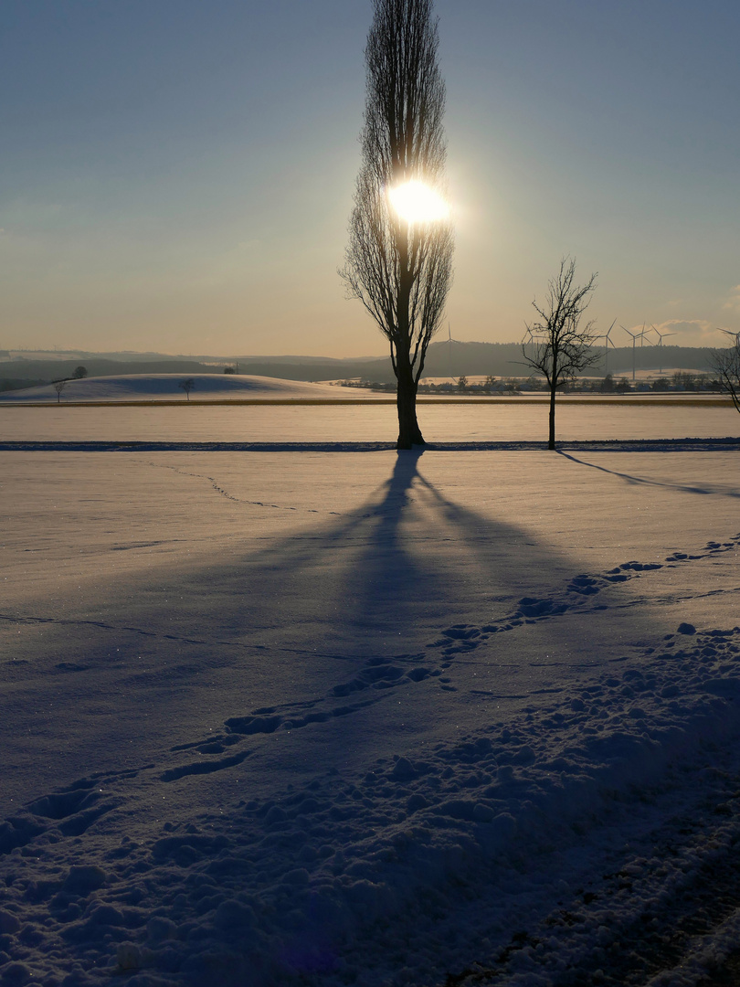 Schneesonne