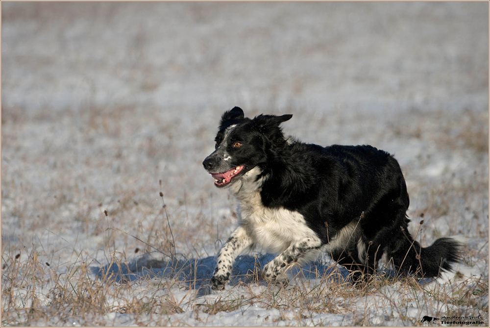 ** Schneespaß 2. **