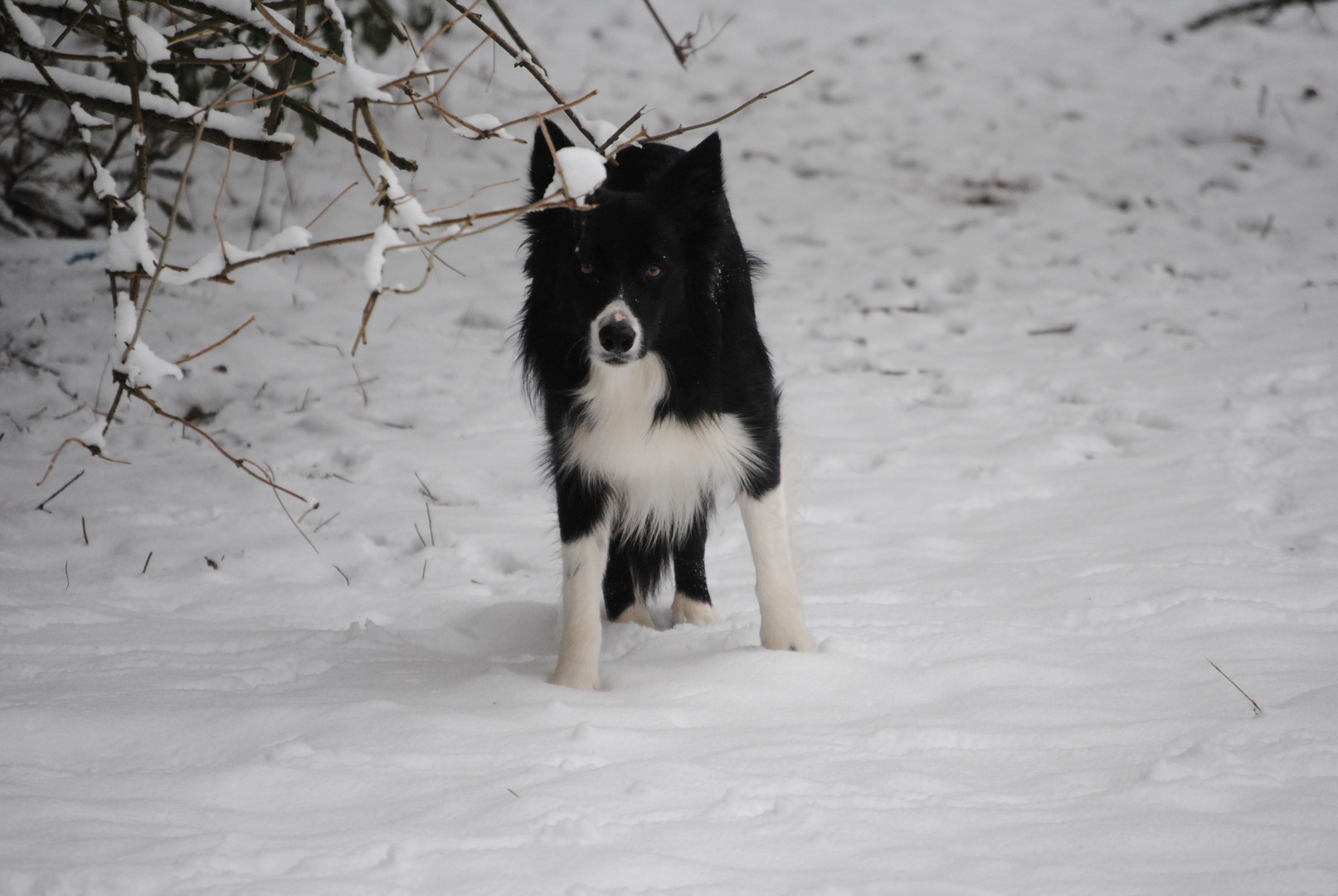 Schneespaß