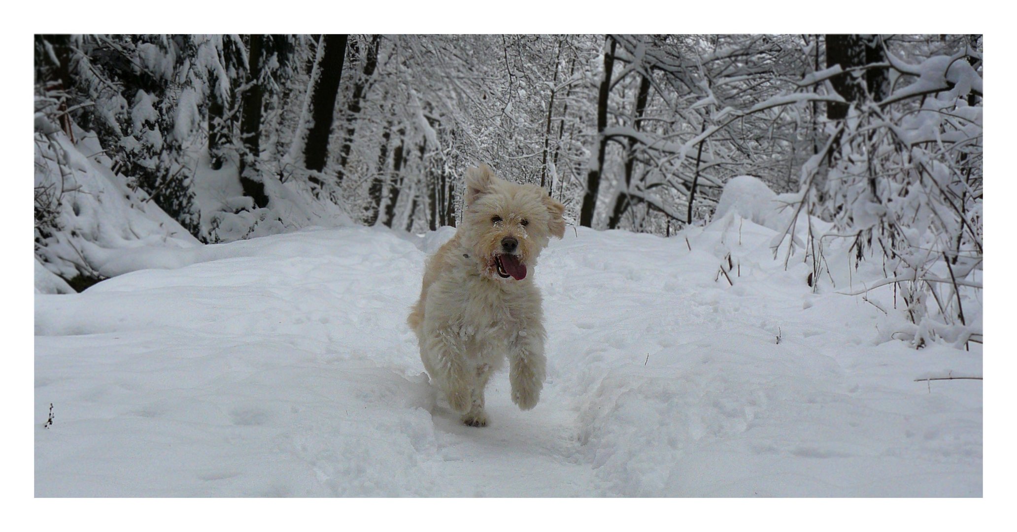 Schneespaß