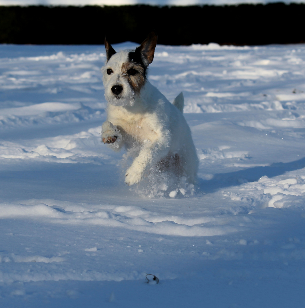 Schneespaß!