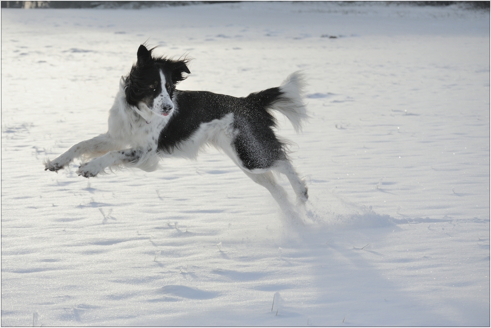 Schneespaß! :-)