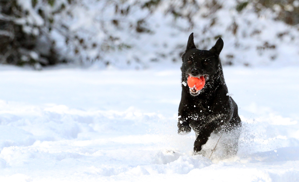 Schneespaß!