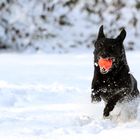 Schneespaß!