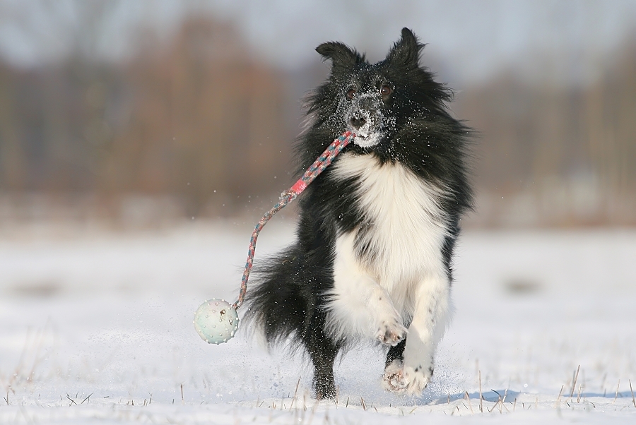 Schneespaß