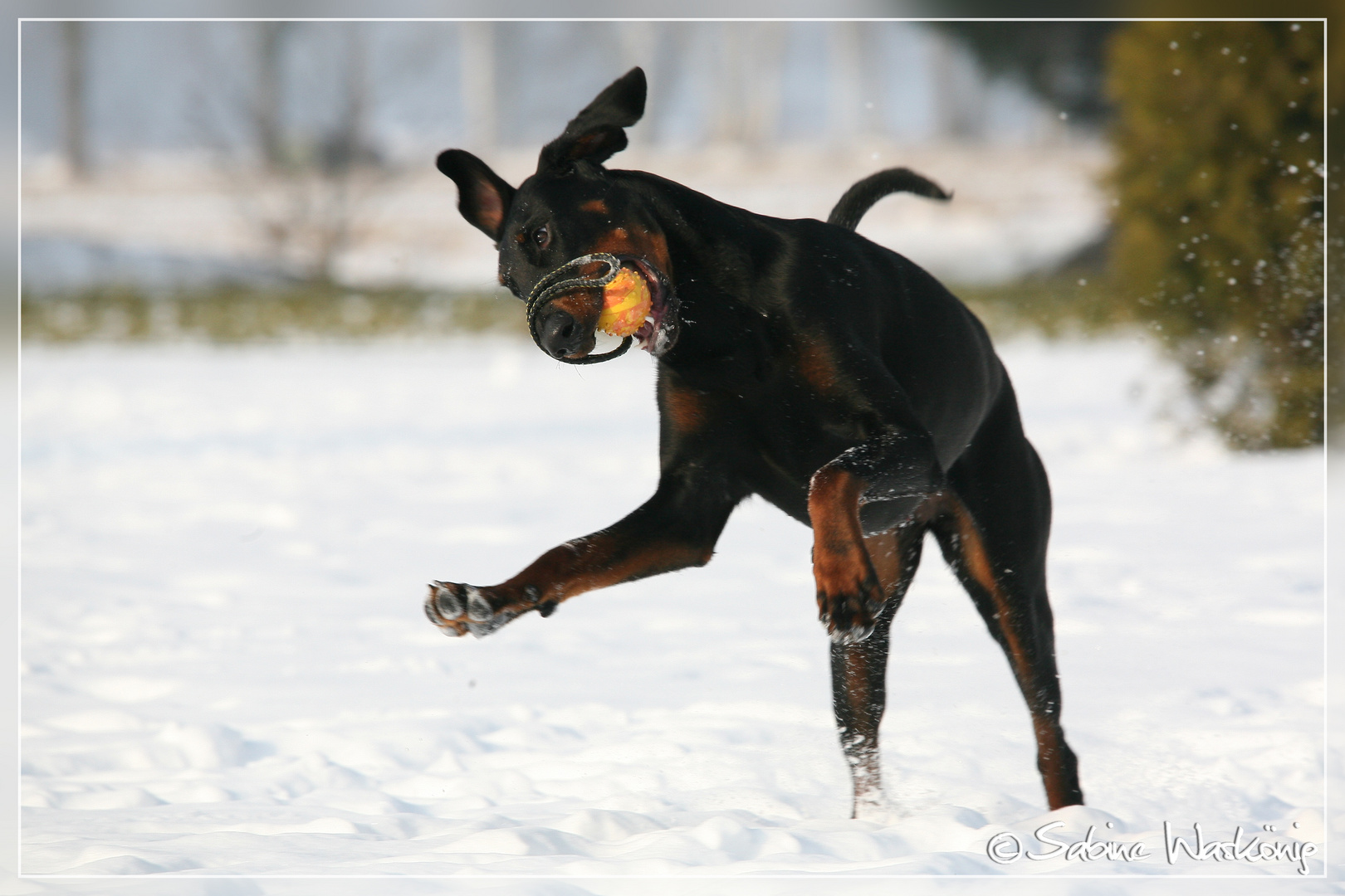 Schneespaß mit Balli