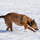 Schneespaß mit Ena