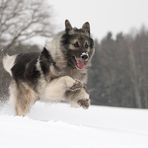 Schneespaß war gestern....