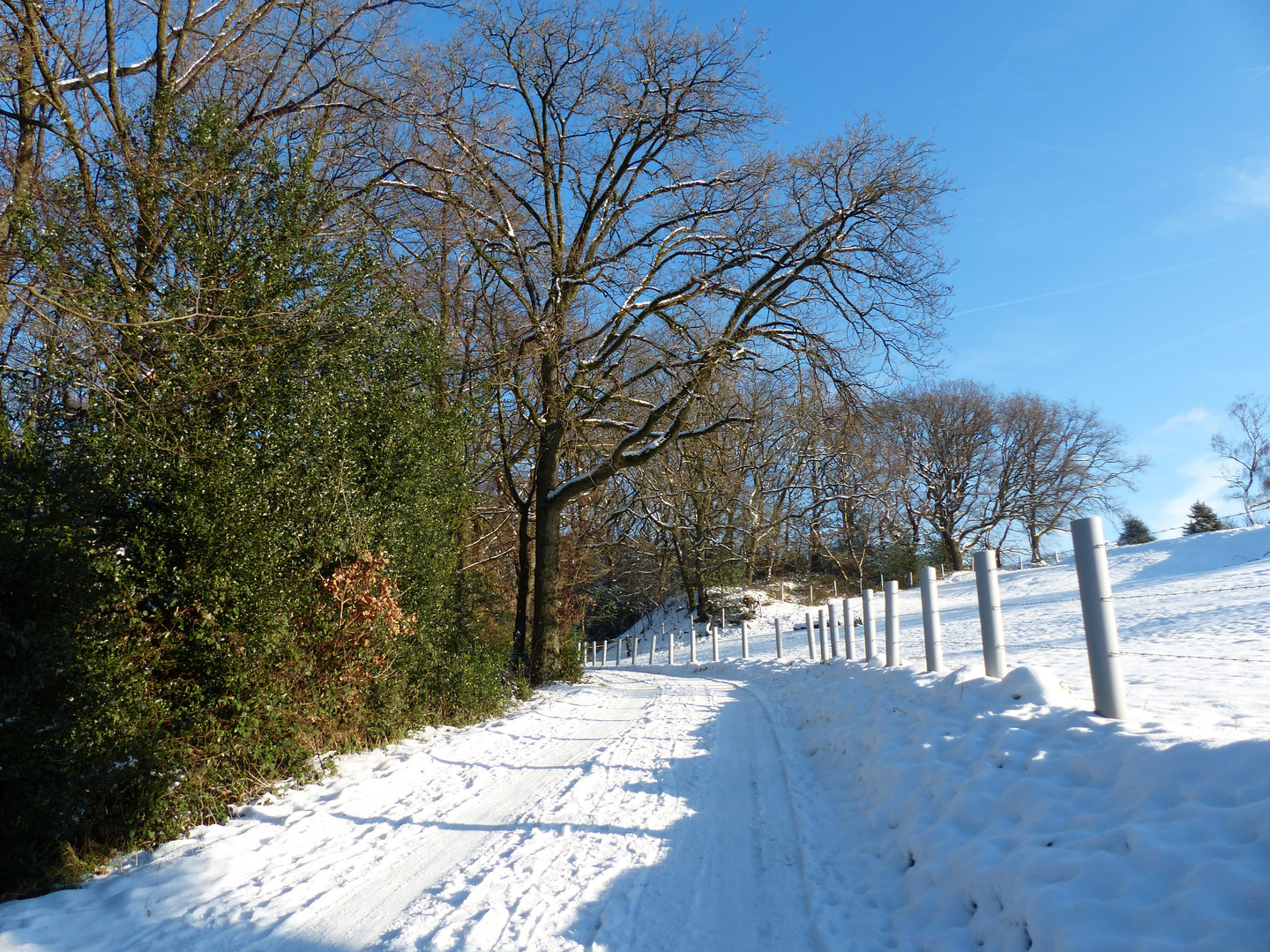 Schneespaziergang