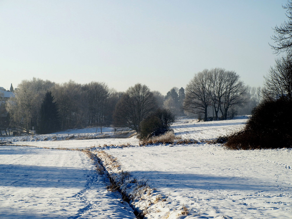 Schneespaziergang 2