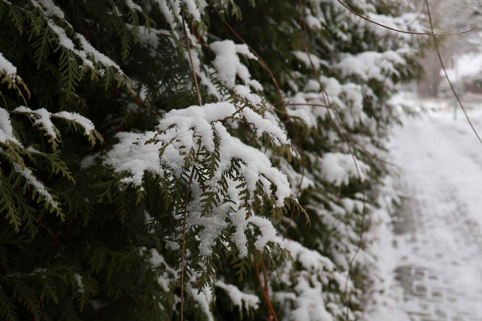 Schneespaziergang [2]