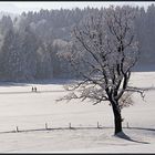 Schneespaziergang