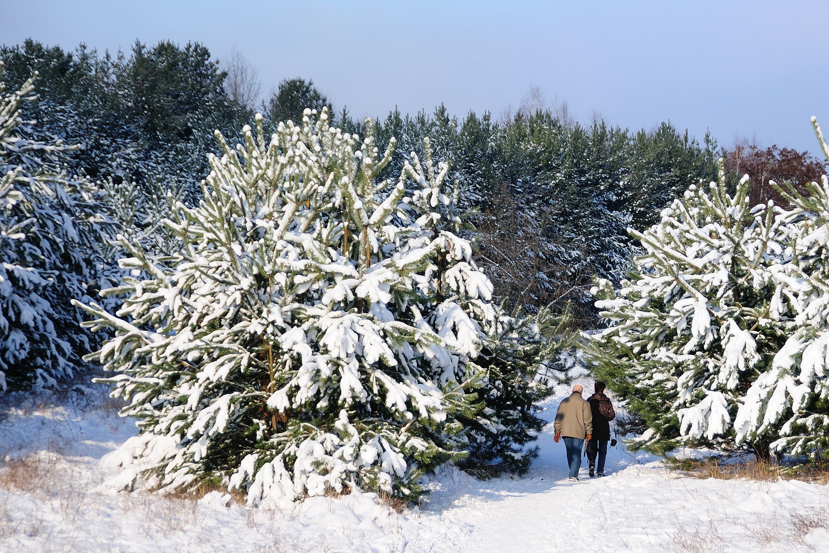 Schneespaziergang