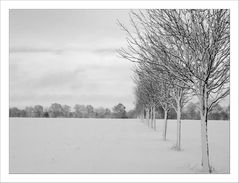 Schneespaziergang