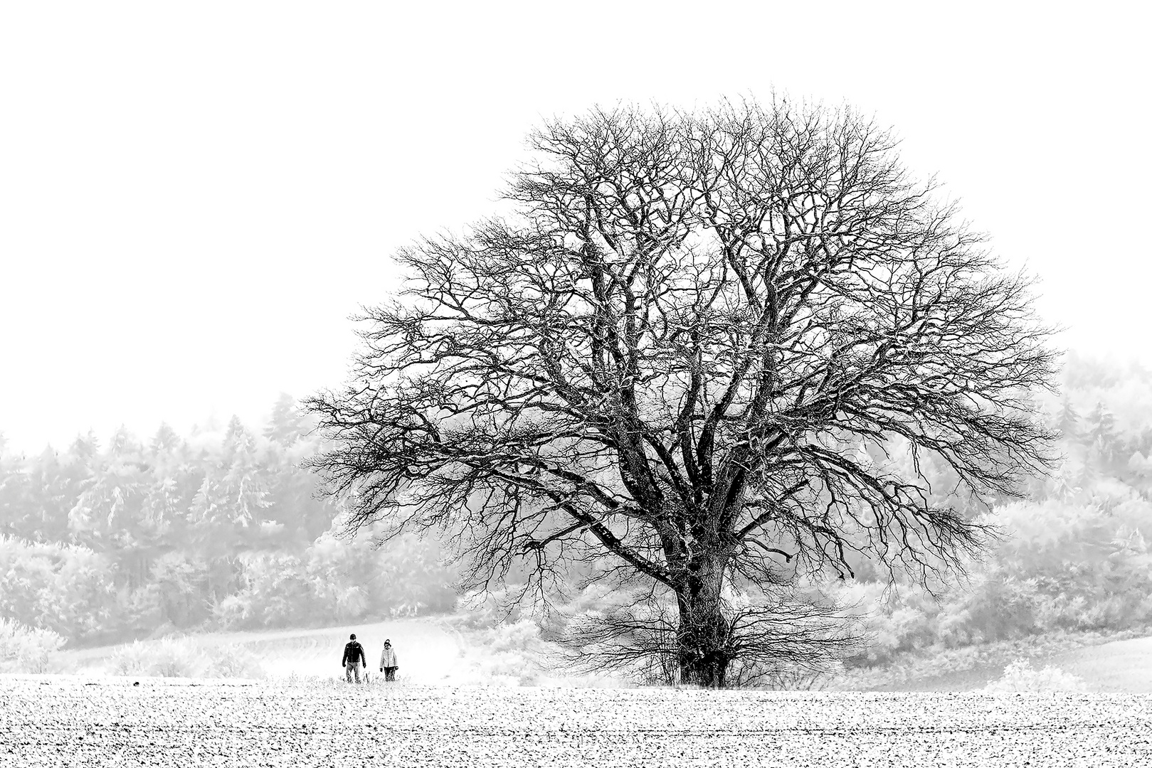 Schneespaziergang