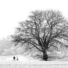 Schneespaziergang