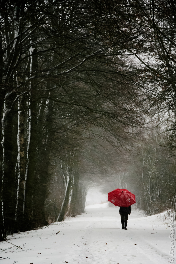 Schneespaziergang