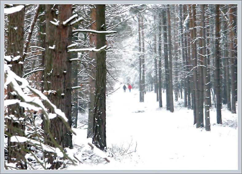 Schneespaziergang...