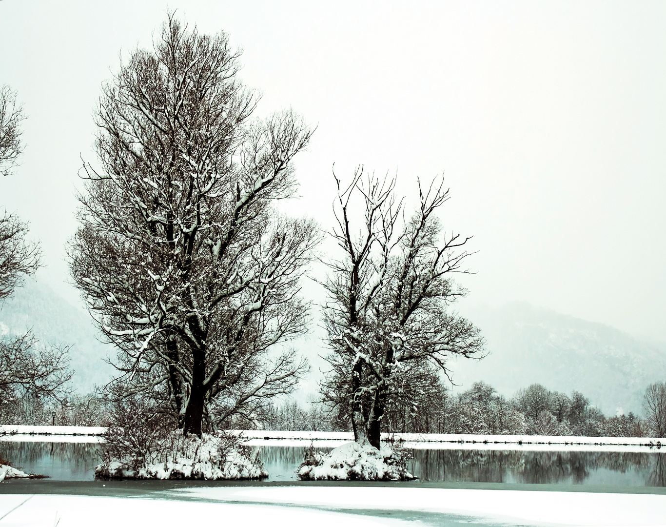 Schneespaziergang