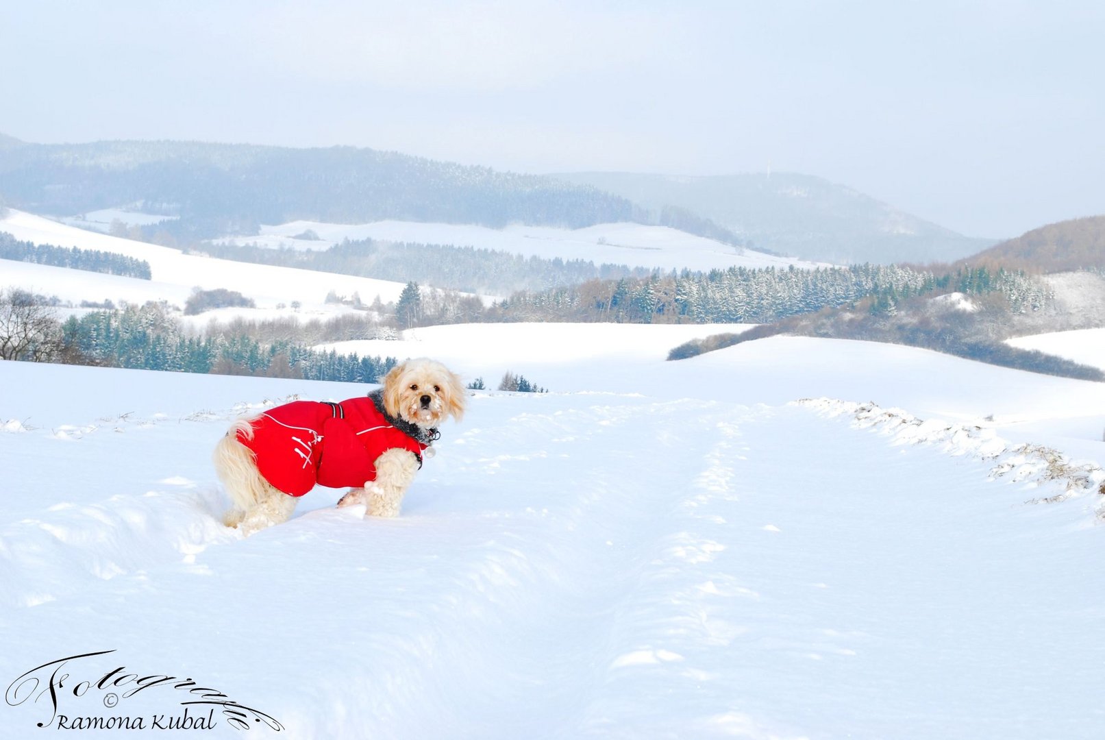 Schneespaziergang