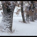 Schneespaziergang