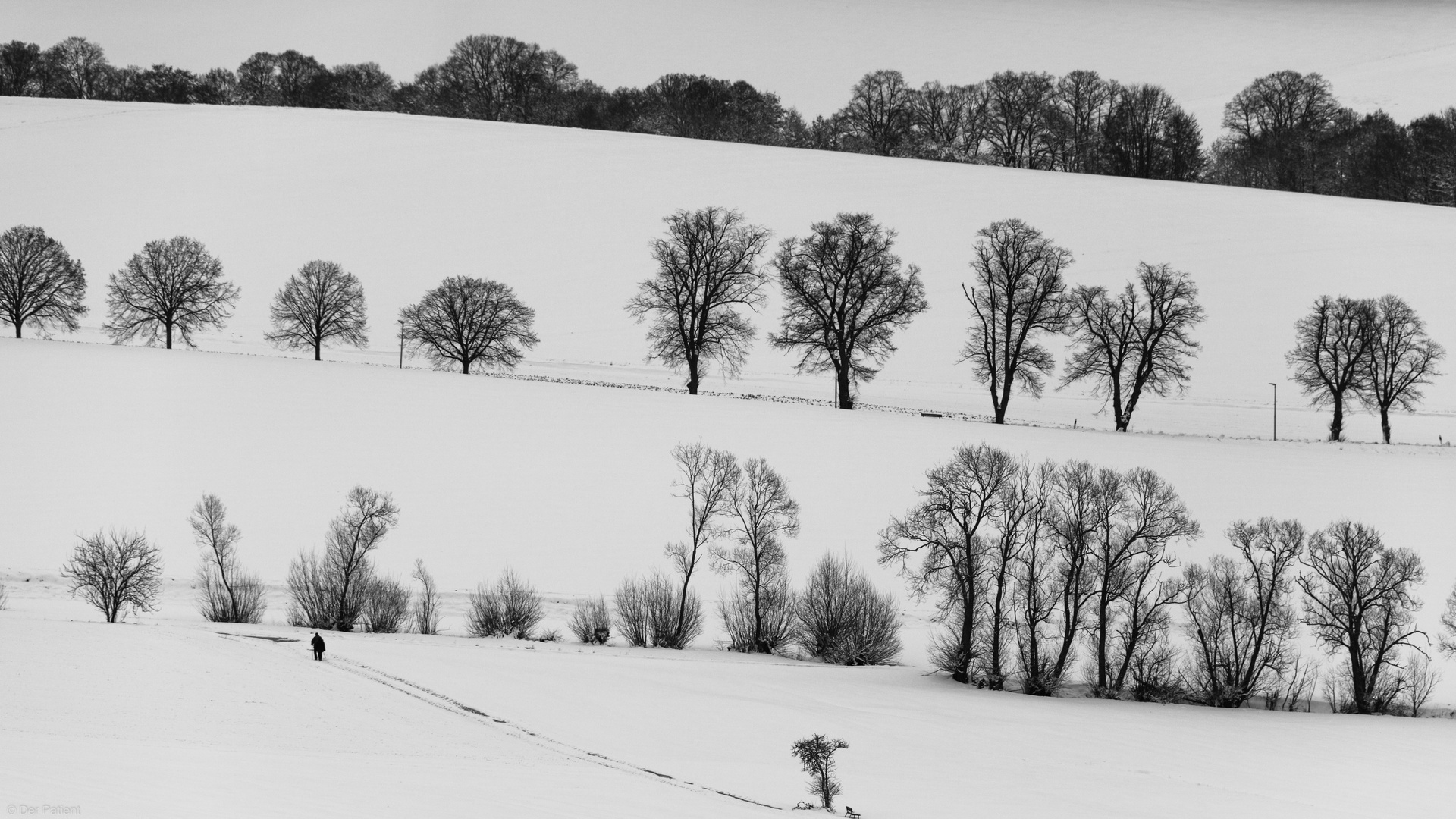 Schneespaziergang