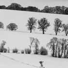 Schneespaziergang