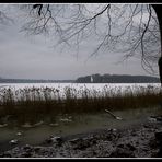 Schneespaziergang gefällig?